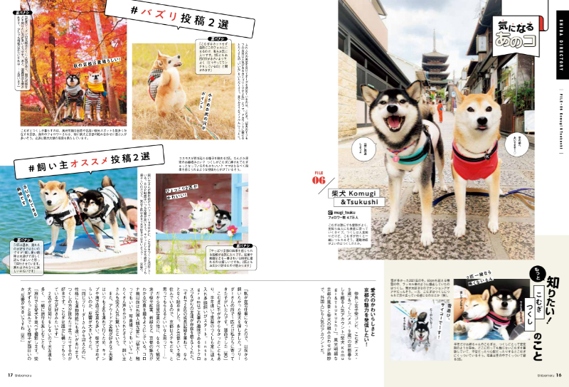 柴犬ワンフルエンサー＆全国の柴犬たちが大集合！ とにかく柴犬まみれ