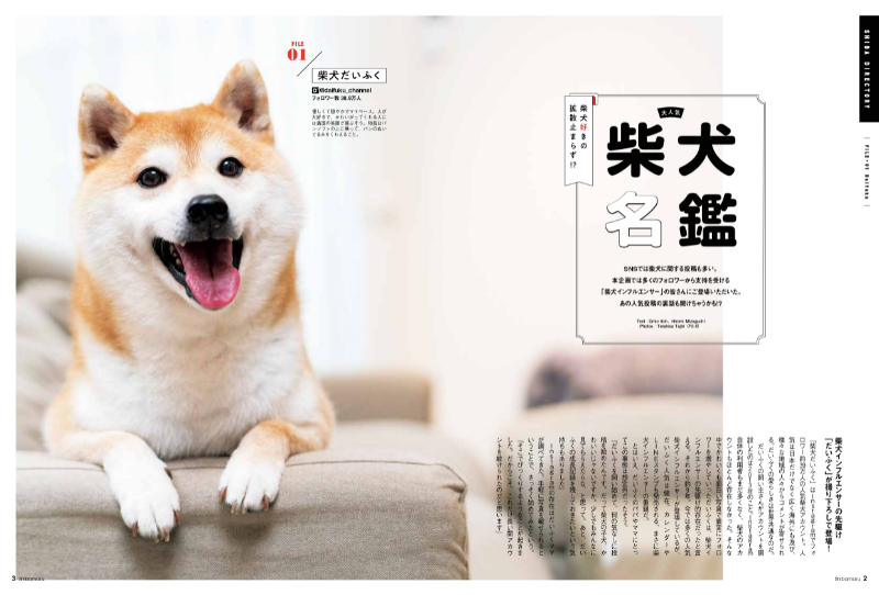 柴犬ワンフルエンサー＆全国の柴犬たちが大集合！ とにかく柴犬まみれ 