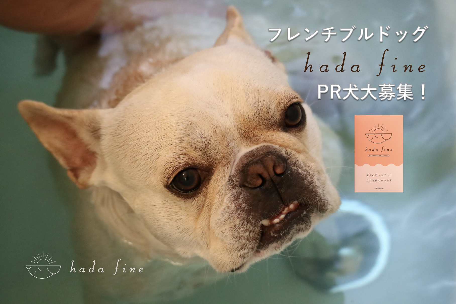 犬用入浴剤】愛犬の肌トラブルをケアする入浴剤『hada fine