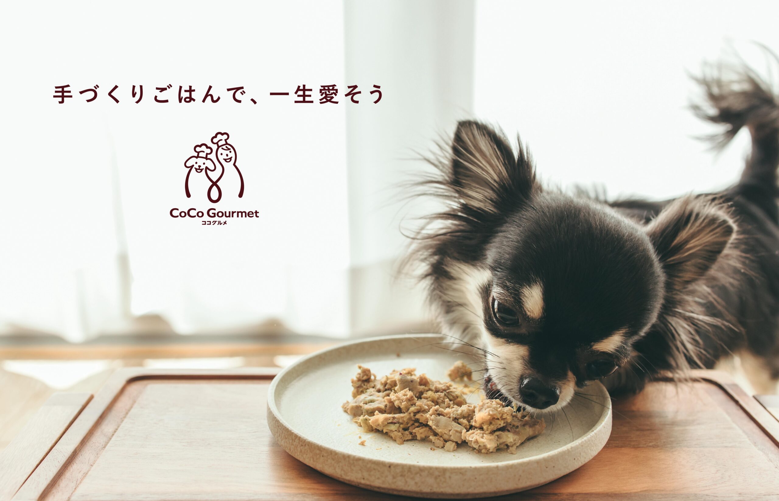 犬用手作りフレッシュフードNo.1「ココグルメ」からバレンタイン期間